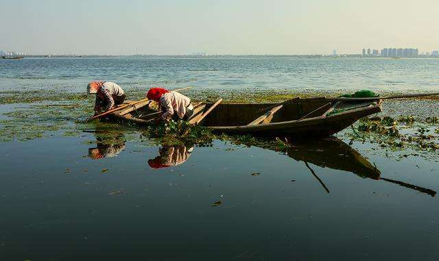 a股7月适合炒什么板块的股票